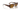 Vogue Kadın Güneş Gözlüğü 5565S W65683 - Koyu havana