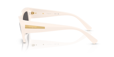 Vogue VO 5607S 312487 53 Vogue Eyewear Kadın Güneş Gözlüğü 0vo5607s-312487-p21-shad-lt-1-png GÖZLÜKTREND