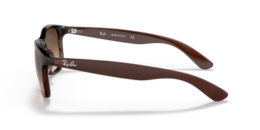 RAY-BAN ERKEK GÜNEŞ GÖZLÜĞÜ 0RB 4202 - Andy 607313 - Kahverengi 0RB4202__607313__STD__shad__lt Ray-Ban